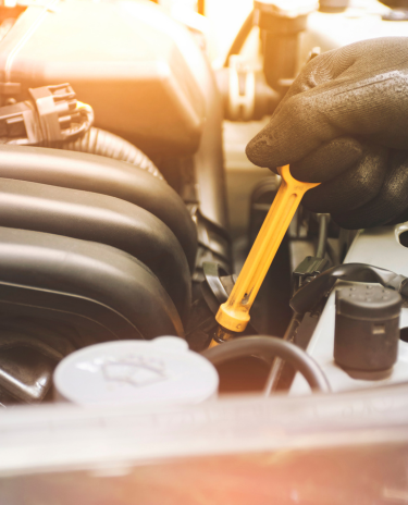 Banner-Celular-2024-03-25T222437.652