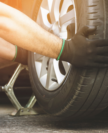 Banner-Celular-2024-03-25T231235.395-1